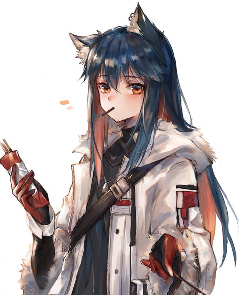 Anime picture 1755x2048 with arknights texas (arknights) texas (winter messenger) (arknights) ryuuji teitoku single long hair tall image looking at viewer blush fringe highres simple background hair between eyes white background holding animal ears blue hair upper body long sleeves multicolored hair
