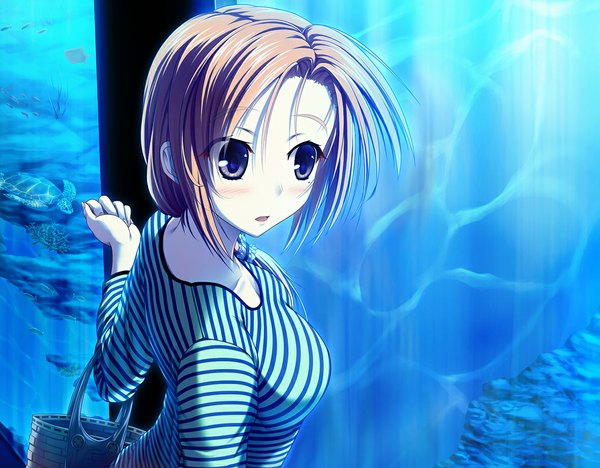 Anime picture 1181x922 with original ulisutariasu (artist) blush short hair brown hair black eyes girl underwear animal aquarium turtle