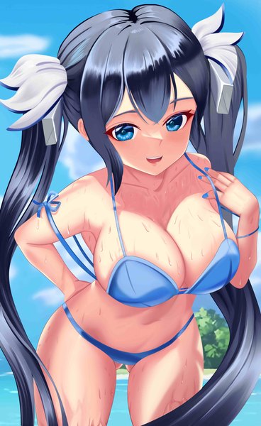 Anime picture 3995x6511 with dungeon ni deai wo motomeru no wa machigatteiru darou ka j.c. staff hestia (danmachi) ronikx art single long hair tall image looking at viewer fringe highres breasts open mouth blue eyes light erotic black hair smile large breasts standing twintails payot