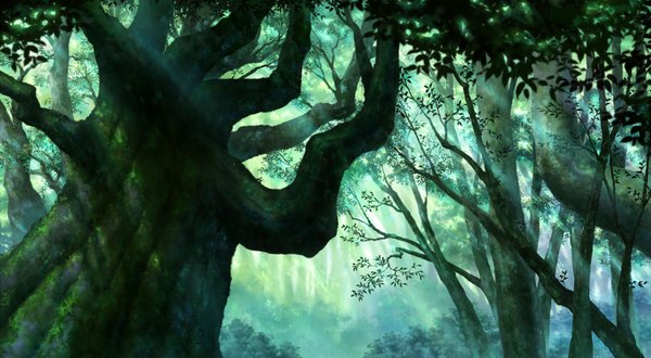 Anime picture 2000x1100 with original iy (tsujiki) highres wide image sunlight no people nature plant (plants) tree (trees) leaf (leaves) forest
