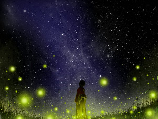 Anime picture 1360x1020 with original gensuke (ryun) single traditional clothes japanese clothes from behind night night sky silhouette girl plant (plants) kimono insect star (stars) grass fireflies