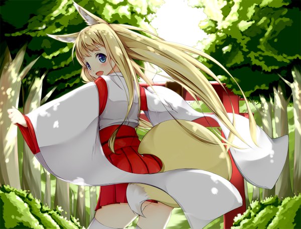 Anime picture 1359x1033 with original jougen long hair blush blonde hair japanese clothes looking back fox ears fox tail fox girl miko girl plant (plants) tree (trees)