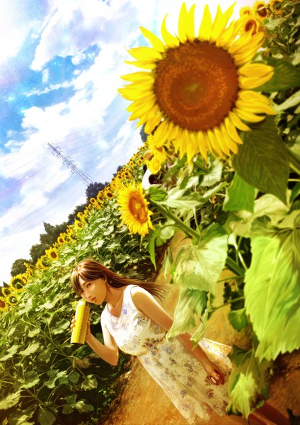 Anime picture 764x1080 with original mahiro (mahiroht) single long hair tall image looking at viewer fringe hair between eyes brown hair standing holding brown eyes cloud (clouds) dutch angle depth of field girl dress flower (flowers) sunflower power lines