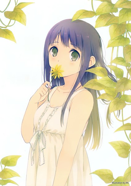Anime picture 2472x3500 with original ousaka nozomi single long hair tall image looking at viewer blush highres black hair white background green eyes scan tears girl dress flower (flowers) leaf (leaves) sundress