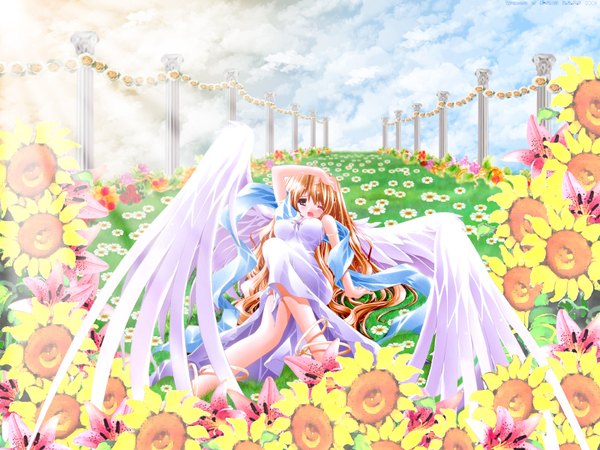 Anime picture 1600x1200 with single blush open mouth brown hair cloud (clouds) very long hair sunlight angel wings girl flower (flowers) ribbon (ribbons) wings sunflower