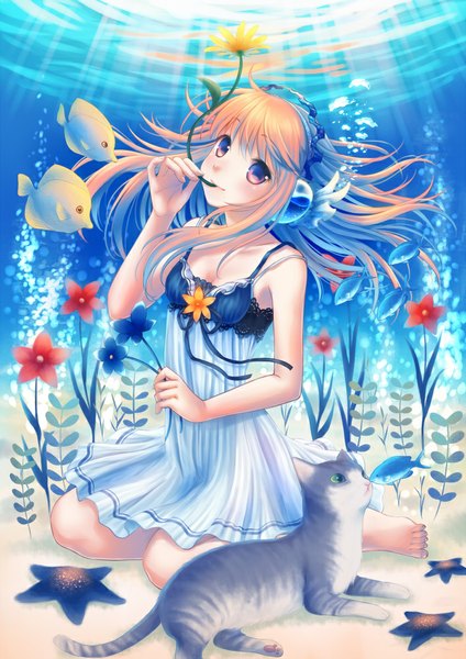 Anime picture 706x1000 with original megumu long hair tall image looking at viewer blush blue eyes red eyes brown hair underwater girl dress flower (flowers) animal headphones cat fish (fishes)