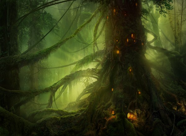 Anime picture 1130x826 with original philipstraub (artist) fantasy plant (plants) tree (trees) forest