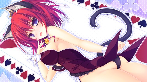 Anime picture 2560x1440 with magicalic sky high mikagami mamizu single blush highres short hair breasts open mouth blue eyes light erotic wide image bare shoulders animal ears red hair tail animal tail cat ears cat girl cat tail pantyshot