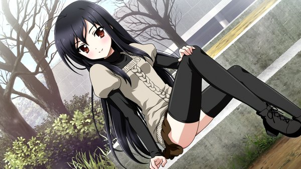 Anime picture 1920x1080 with accel world sunrise (studio) kuroyukihime single long hair looking at viewer blush highres black hair wide image sitting brown eyes dutch angle zettai ryouiki casual girl thighhighs skirt black thighhighs plant (plants)
