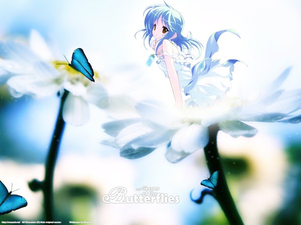 Anime picture 1600x1200 with majokko a la mode fujiwara warawara single long hair brown eyes blue hair wallpaper partially submerged fairy dress flower (flowers) water white dress insect butterfly moon jewelry necklace