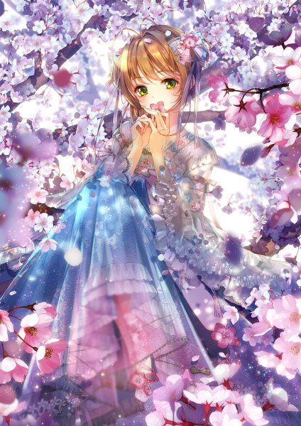 Anime picture 707x1000 with card captor sakura clamp kinomoto sakura lilithbloody single tall image looking at viewer blush fringe short hair brown hair sitting holding green eyes ahoge traditional clothes cherry blossoms covered mouth tree sitting girl