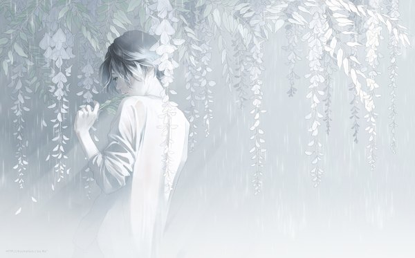 Anime picture 1379x859 with original re (artist) single fringe short hair wide image holding looking away multicolored hair lips from behind sunlight back monochrome gradient hair sunbeam boy flower (flowers) wisteria