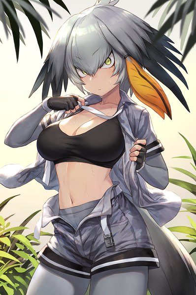 Anime picture 1000x1506 with kemono friends shoebill (kemono friends) guchico single tall image looking at viewer blush fringe short hair breasts light erotic simple background hair between eyes standing yellow eyes cleavage tail head tilt animal tail grey hair