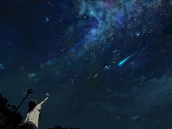 Anime picture 1024x768 with original futabayashi (artist) single long hair black hair sky night wallpaper scenic shooting star girl skirt plant (plants) tree (trees) serafuku star (stars)