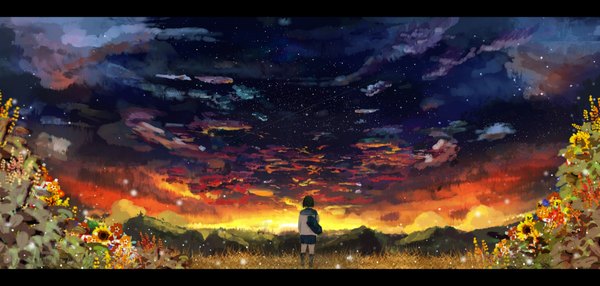 Anime picture 1920x917 with original kunito9210 single highres wide image sky cloud (clouds) from behind evening sunset landscape scenic girl flower (flowers) plant (plants) socks serafuku black socks star (stars) grass