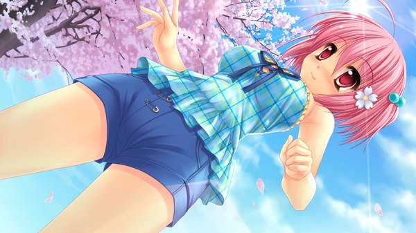 Anime picture 2560x1440 with ima mo itsuka mo faluna luna akinomiya akane kamiya tomoe blush highres short hair smile red eyes wide image pink hair game cg girl hair ornament plant (plants) tree (trees) shorts hairclip