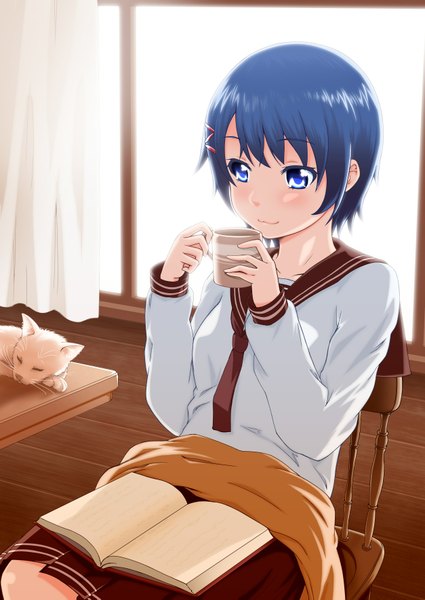 Anime picture 1254x1771 with original suzushiro nazuna tall image blush short hair blue eyes blue hair girl serafuku book (books) cat mug