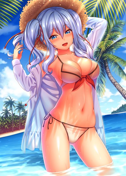 Anime picture 888x1242 with kantai collection kashima training cruiser nazu-na single long hair tall image blush breasts open mouth blue eyes light erotic twintails silver hair girl navel swimsuit plant (plants) hat bikini tree (trees)