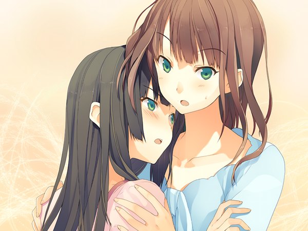 Аниме картинка 1024x768 с любовь, выборы и шоколад shinonome satsuki akinashi yuu длинные волосы чёрные волосы каштановые волосы несколько девушек зелёные глаза game cg девушка 2 девушки