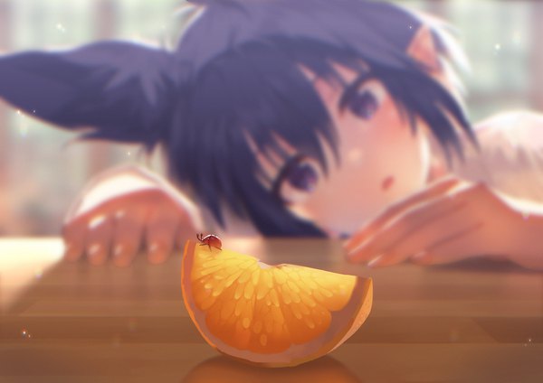 Anime-Bild 1697x1200 mit original mano (narumi arata) narumi arata single looking at viewer blush fringe short hair black hair hair between eyes purple eyes animal ears parted lips head tilt pointy ears blurry depth of field girl insect fruit