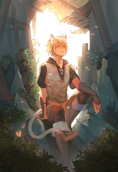 Anime picture 1000x1453 with lamento nitro+chiral konoe naked cat single tall image short hair blonde hair sitting animal ears yellow eyes tail animal tail cat ears cat tail looking up rock boy plant (plants) insect