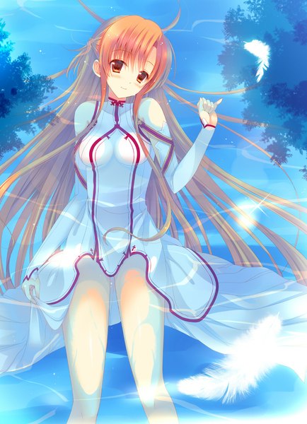 Anime picture 800x1104 with sword art online a-1 pictures yuuki asuna mitsu king single long hair tall image blush smile brown hair brown eyes girl dress detached sleeves water feather (feathers)