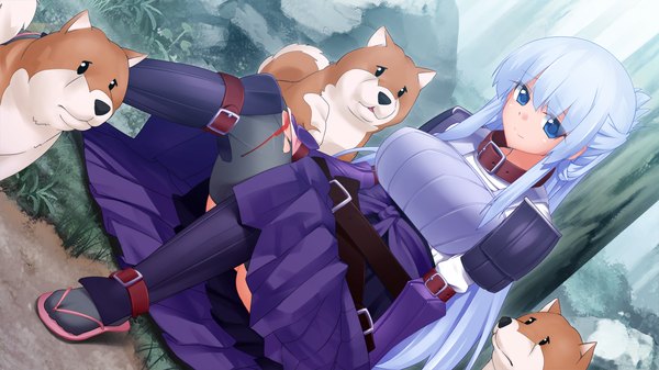 Anime picture 1280x720 with sengoku hime 4 single long hair blue eyes wide image sitting blue hair game cg traditional clothes girl collar dog