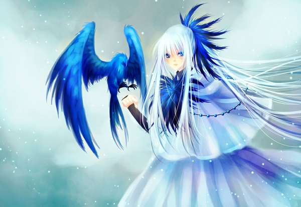Anime picture 1000x688 with original pixiv fantasia pixiv fantasia v kashiru (pixiv22166) single long hair looking at viewer blue eyes standing blue hair silver hair multicolored hair two-tone hair snowing winter girl hair ornament animal bird (birds) feather (feathers)