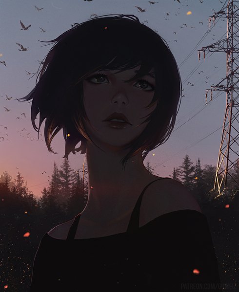 Anime picture 898x1100 with guweiz single tall image fringe short hair black hair sky lips black eyes evening sunset looking up girl plant (plants) animal tree (trees) bird (birds) power lines