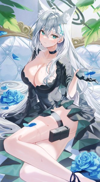 Anime picture 3251x5891 with blue archive shiroko (blue archive) shiroko terror (blue archive) lujang (fudge) single long hair tall image looking at viewer fringe highres breasts light erotic hair between eyes large breasts sitting animal ears absurdres cleavage silver hair ahoge