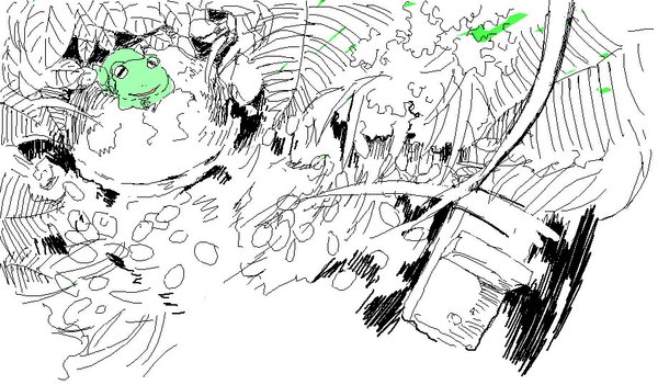 Аниме картинка 918x538 с семейка не от мира сего p.a. works shimogamo yajirou zkakq один (одна) улыбка широкое изображение вид сверху монохромное без людей пятно цвета вода лист (листья) лягушка