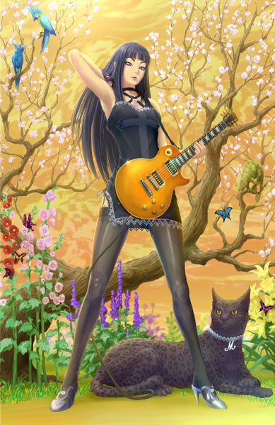 Anime picture 800x1232 with original haitaka single long hair tall image looking at viewer black hair brown eyes girl thighhighs dress black thighhighs plant (plants) animal tree (trees) bird (birds) insect butterfly cat guitar
