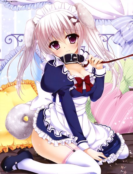 Anime picture 3955x5163 with original nanaka mai single long hair tall image blush highres light erotic twintails purple eyes animal ears absurdres white hair tail animal tail scan maid girl thighhighs dress