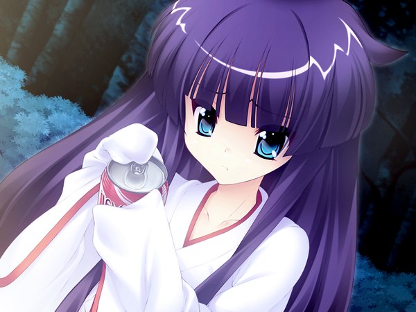 Anime picture 1200x900 with inumimi berserk (game) tatara shijima long hair blue eyes game cg purple hair traditional clothes girl