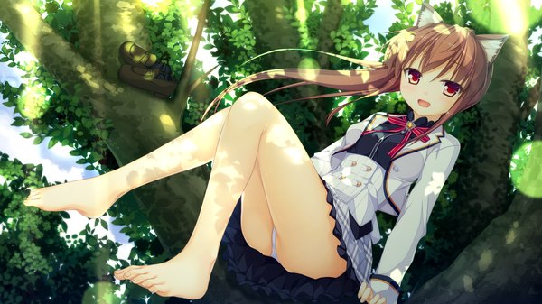 Anime picture 1920x1080 with world election whirlpool (studio) faura linans single long hair looking at viewer blush highres open mouth light erotic red eyes brown hair wide image animal ears game cg ponytail barefoot bare legs pantyshot girl