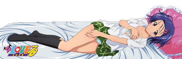 Anime picture 3400x1100 with toloveru xebec sairenji haruna highres light erotic wide image