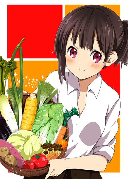 Anime picture 800x1116 with original ragho no erika tall image blush short hair black hair smile red eyes girl vegetables carrot mushroom (mushrooms) tomato onion