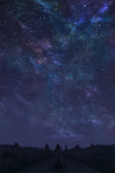 Anime picture 1339x2000 with original totuka single tall image sky from behind night sky landscape scenic milky way boy scarf star (stars) coat