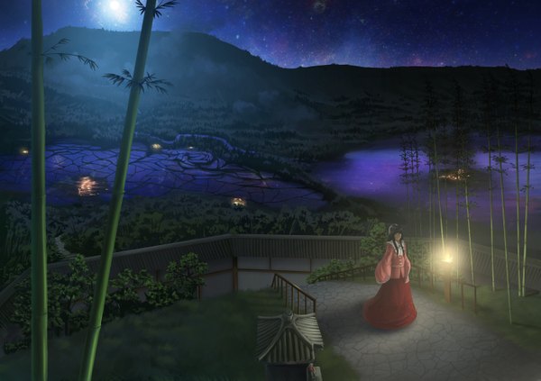 Anime picture 3000x2118 with touhou houraisan kaguya single long hair highres black hair absurdres night night sky landscape girl plant (plants) moon star (stars) lantern bamboo