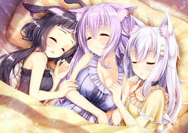 Anime-Bild 1412x1000 mit original nefia (akine) akine (kuroyuri) long hair blush fringe breasts open mouth light erotic black hair smile hair between eyes bare shoulders multiple girls animal ears payot cleavage purple hair ahoge white hair