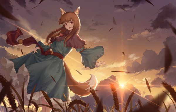 Anime picture 3000x1909 with spice and wolf horo ziran majiang single long hair looking at viewer blush fringe highres open mouth red eyes brown hair standing animal ears sky cloud (clouds) outdoors tail animal tail wind