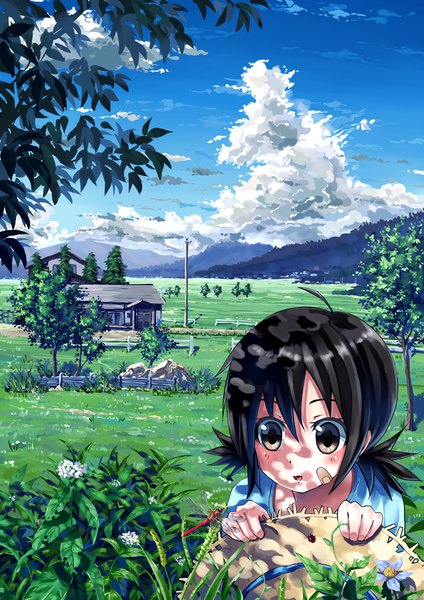 Anime picture 800x1131 with original bokuden single tall image blush short hair black hair twintails brown eyes sky cloud (clouds) ahoge parted lips low twintails mountain bandaid on face field girl flower (flowers) plant (plants)