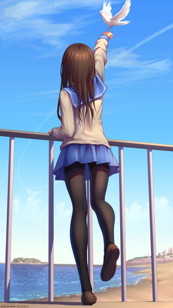 Anime-Bild 1440x2560 mit himitsu no jugyou original himino seika mi-chan (tokinohimitsu) tokinohimitsu single long hair tall image brown hair standing signed sky cloud (clouds) full body outdoors long sleeves pleated skirt arm up from behind twitter username