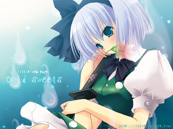 Anime picture 1024x768 with touhou konpaku youmu myon ritoru (little) short hair blue eyes mouth hold flower in mouth girl flower (flowers) sword hairband