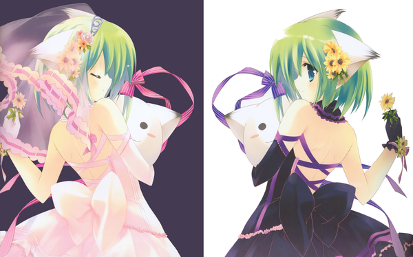 Anime picture 4503x2814 with rei (rei's room) blush highres short hair blue eyes simple background wide image multiple girls animal ears profile green hair scan cat girl girl dress flower (flowers) ribbon (ribbons) 2 girls wedding veil midori