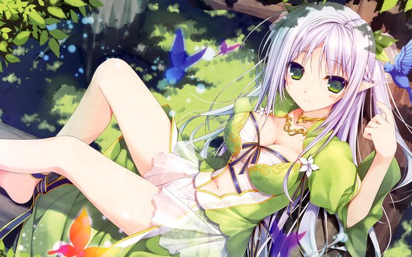 Anime picture 1920x1200 with chikotam single long hair blush highres breasts light erotic wide image green eyes absurdres cleavage white hair barefoot pointy ears elf girl dress navel animal bird (birds)