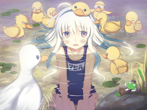 Anime picture 2400x1800 with original kawano masatoshi tenpurukisi (artist) long hair blush highres red eyes white hair loli partially submerged girl swimsuit water hairband one-piece swimsuit school swimsuit frog duck