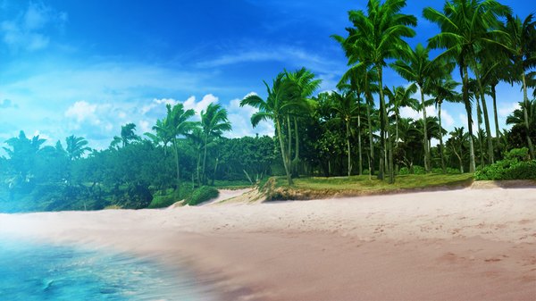 Anime picture 1280x720 with yumeiro alouette! wide image game cg cloud (clouds) beach no people landscape plant (plants) tree (trees) palm tree