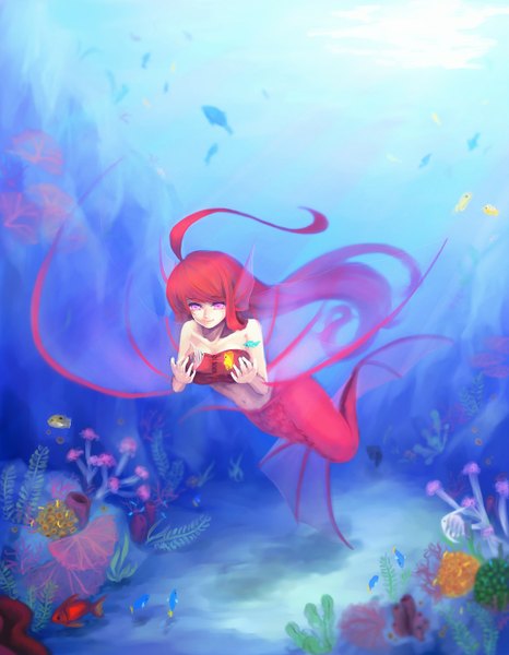 Anime picture 1120x1440 with original denpaderupa single long hair tall image fringe red eyes animal ears red hair underwater girl navel flower (flowers) plant (plants) fish (fishes) bikini top mermaid fin (fins)