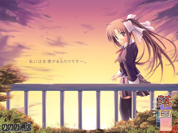 Anime picture 1600x1200 with rakujitsu ren (rakujitsu) iga (nonono tsuushin) single long hair looking at viewer brown hair brown eyes outdoors pleated skirt sparkle copyright name side ponytail girl thighhighs skirt uniform plant (plants) school uniform animal